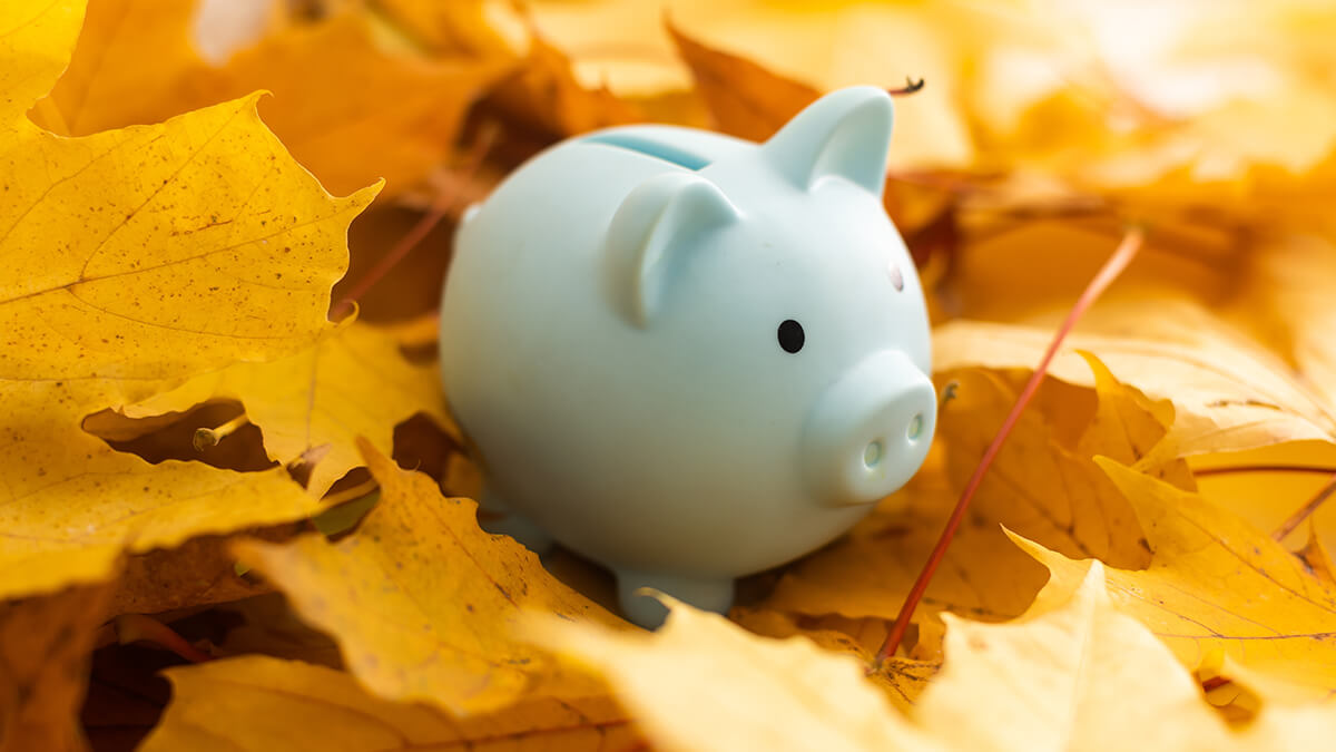 a piggy bank on a bed of leaves